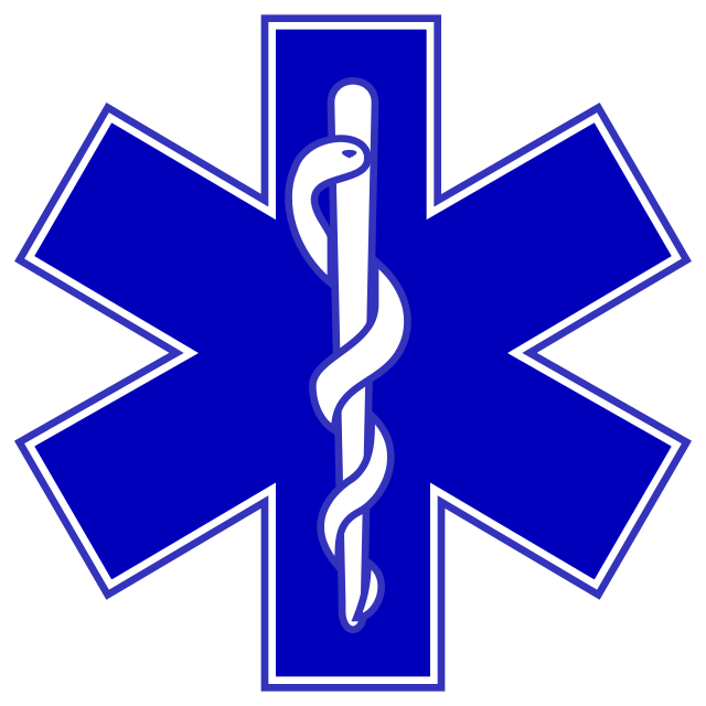 lareineblancheambulances77